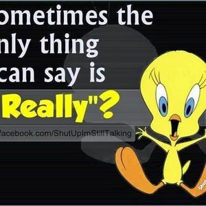 Meet your Posher, Sunshine